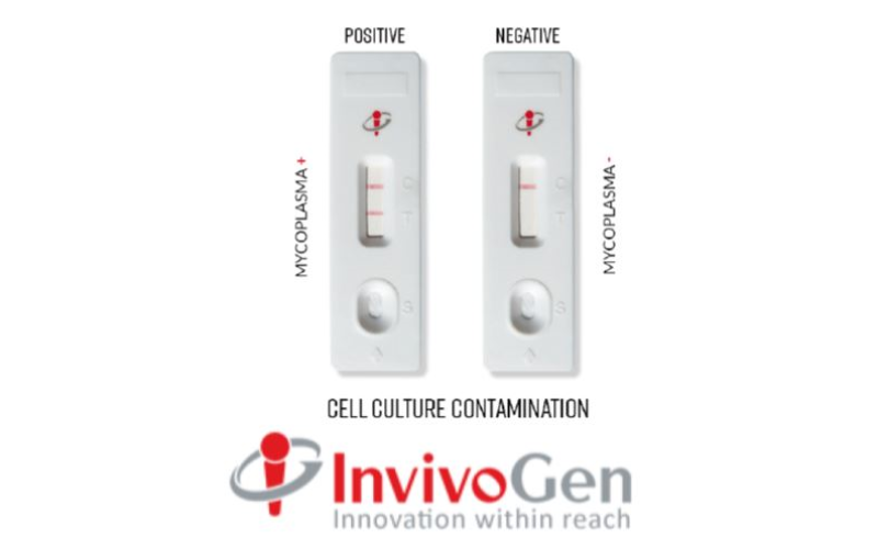MycoStripTM rapid test to detect cell culture contamination
simple, rapid, clear, specific, sensitive