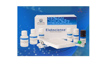 Free Antibody, ELISA * Antibodies / FCM-antibody
* ELISA kits
* Cell detection kits
only pay CHF 25.- for shipping and handling; read more: